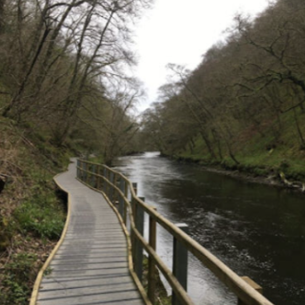 Cenarth Boardwalk