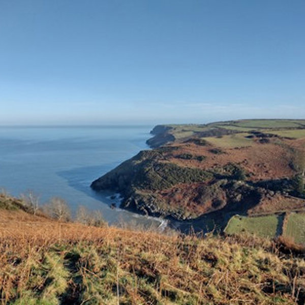 New Quay to Cwmtydu