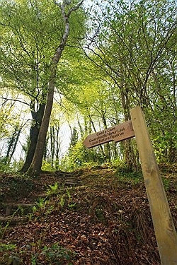 A signpost at Coed y Cwm Local Nature Reserve