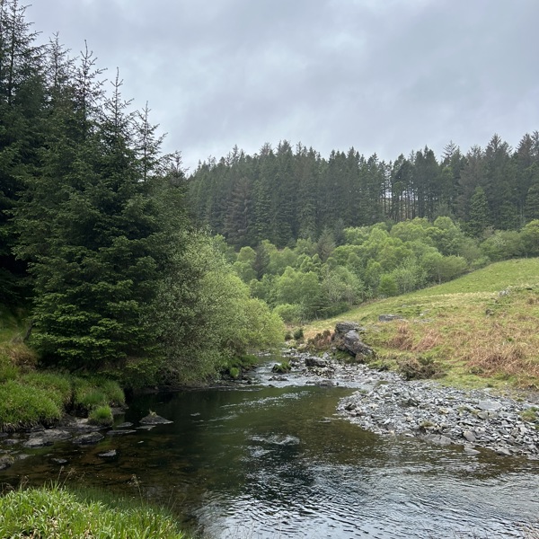 Devils Bridge Mynach Valley Circular Walk