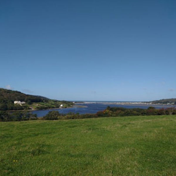 Mwnt - Ferwig 