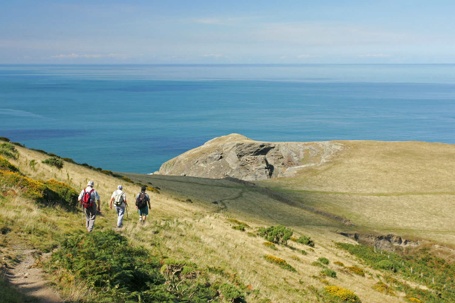 Coastal path by castell bach