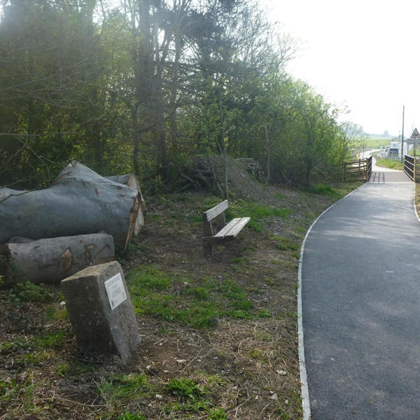 Pont teithio llesol newydd yn ei lle ar ôl gorffen adeiladu’r llwybr cyd-ddefnyddio rhwng Bow Street ac IBERS