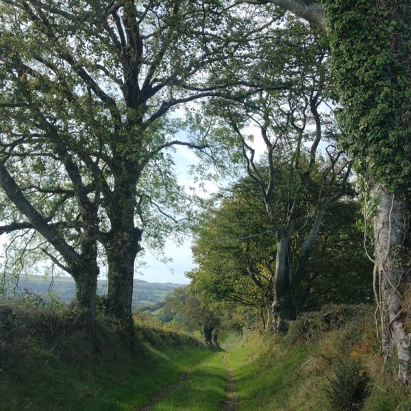 Bangor Teifi