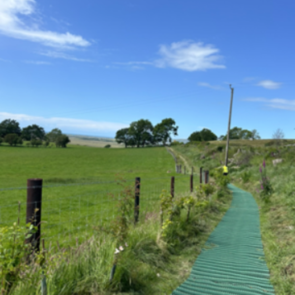 Tal-y-Bont - Taliesin