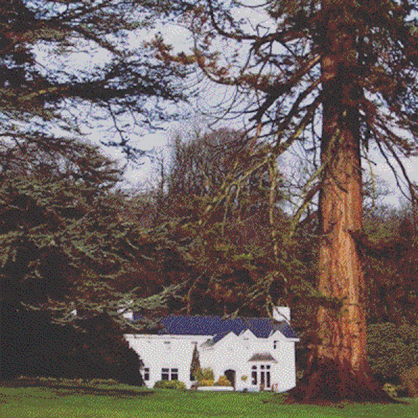 Ynyshir Hall, Eglwysfach