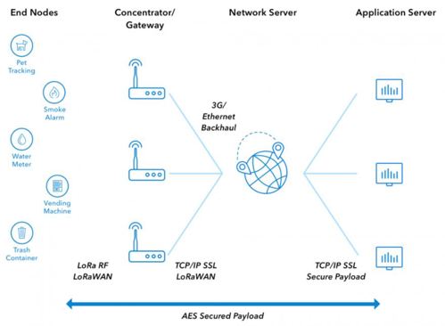 LoRaWAN display