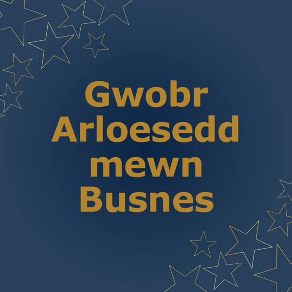 Gwobr Arloesedd mewn Busnes